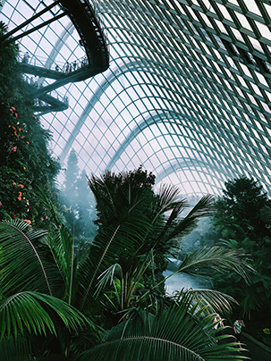 Inner section of Gardens by the Bay